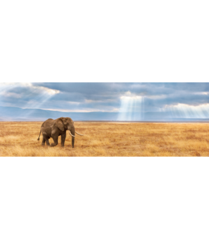 test-62cc3aca0e04076729082274