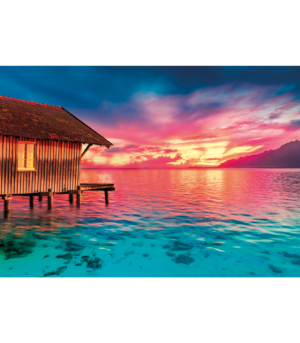 test-6346ab639572cc83ab7b029e