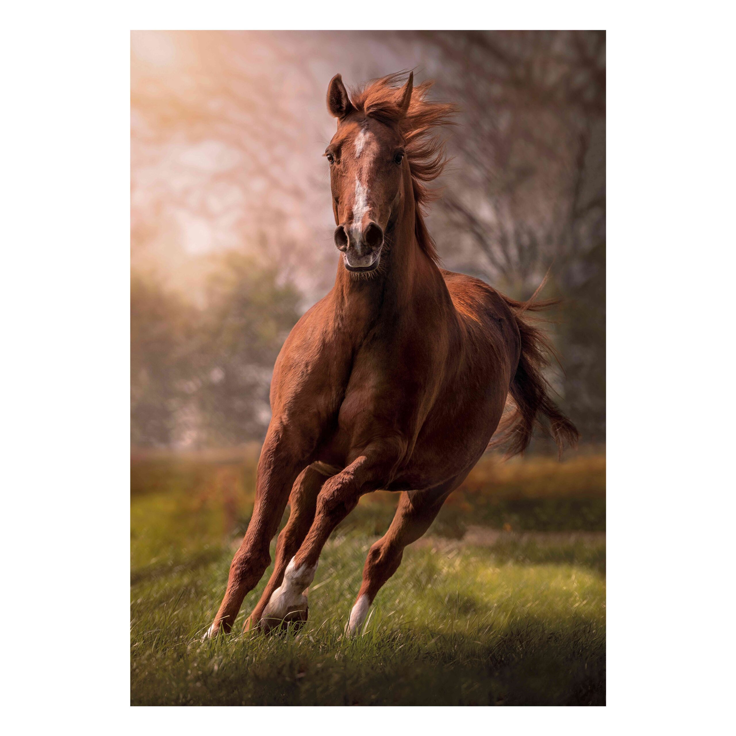 1220-31811-10-639119c9b350aaa238b1f101