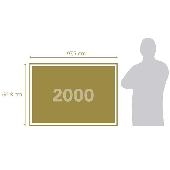 1220-32084-20-68d67993941cf1053a40248f_1758898834