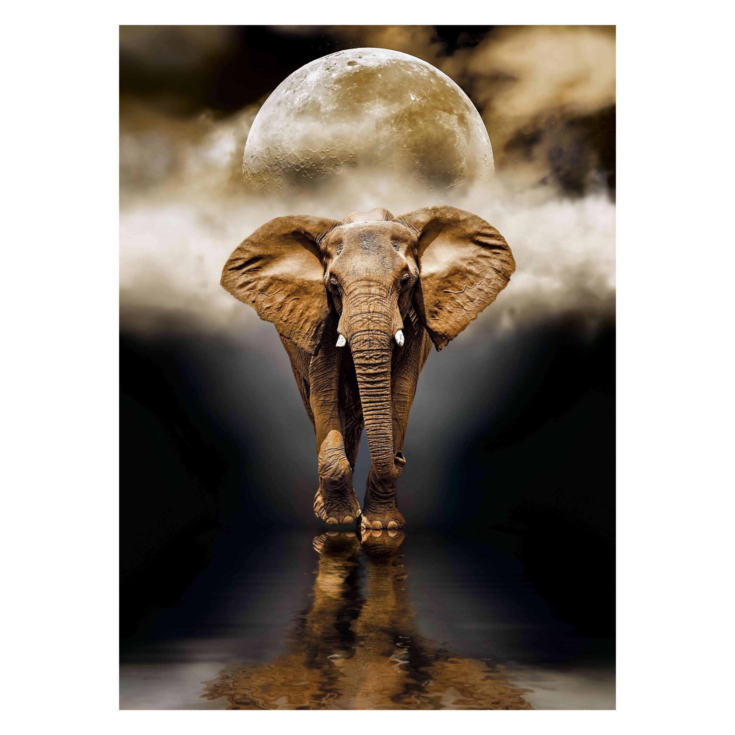 1220-39416-10-6394dccbb350aaa238b1f40d