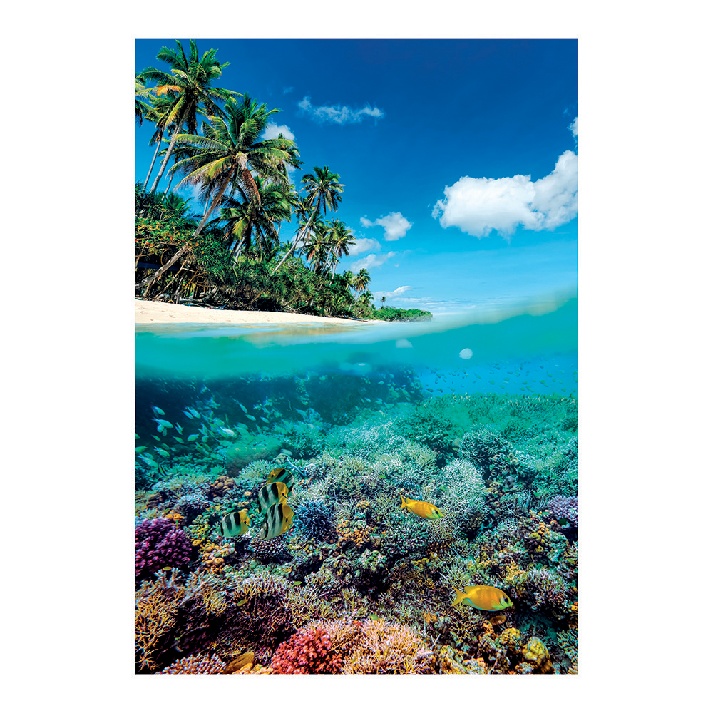 1220-39931-10-68d63f61941cf1053a4023bc_1758898835