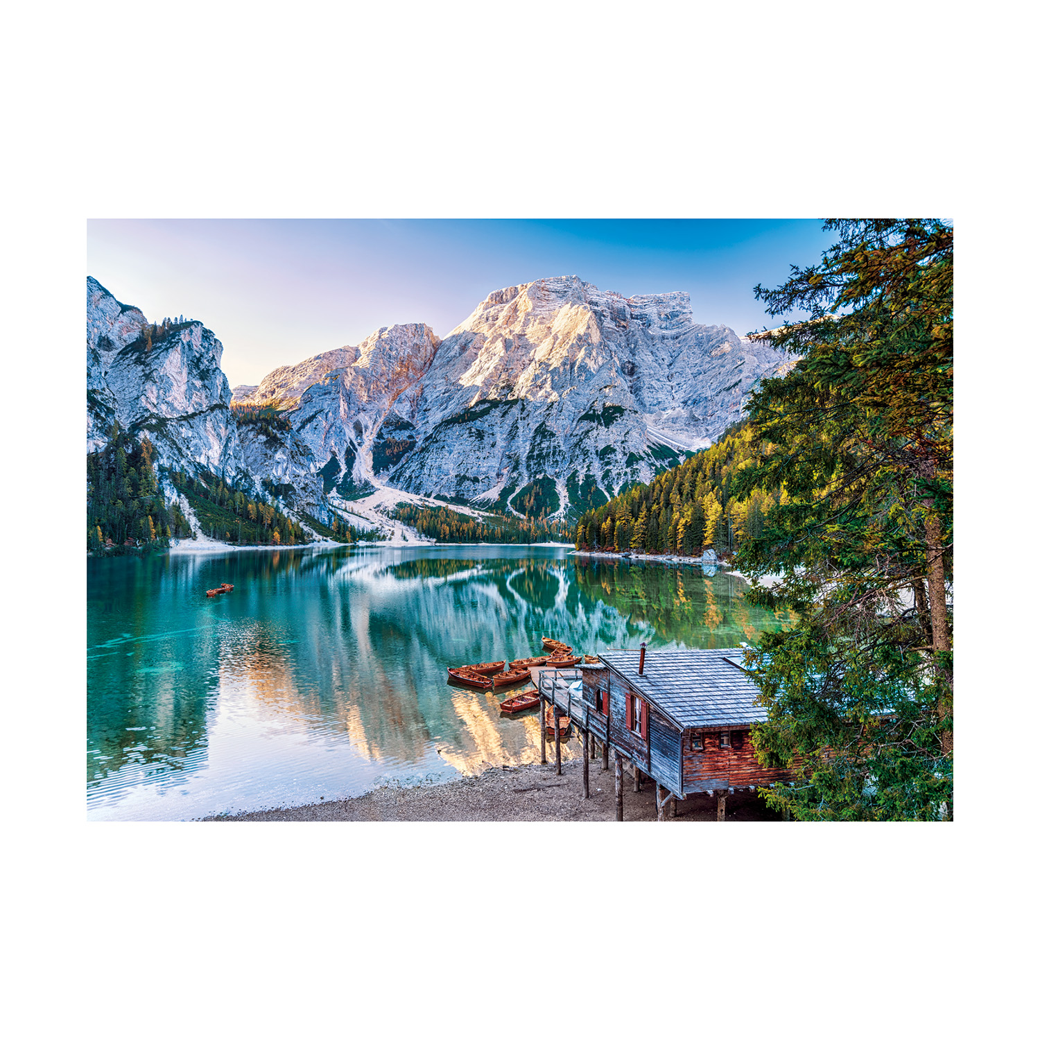 1220-39934-10-68d63d8f941cf1053a4023b5_1758898835