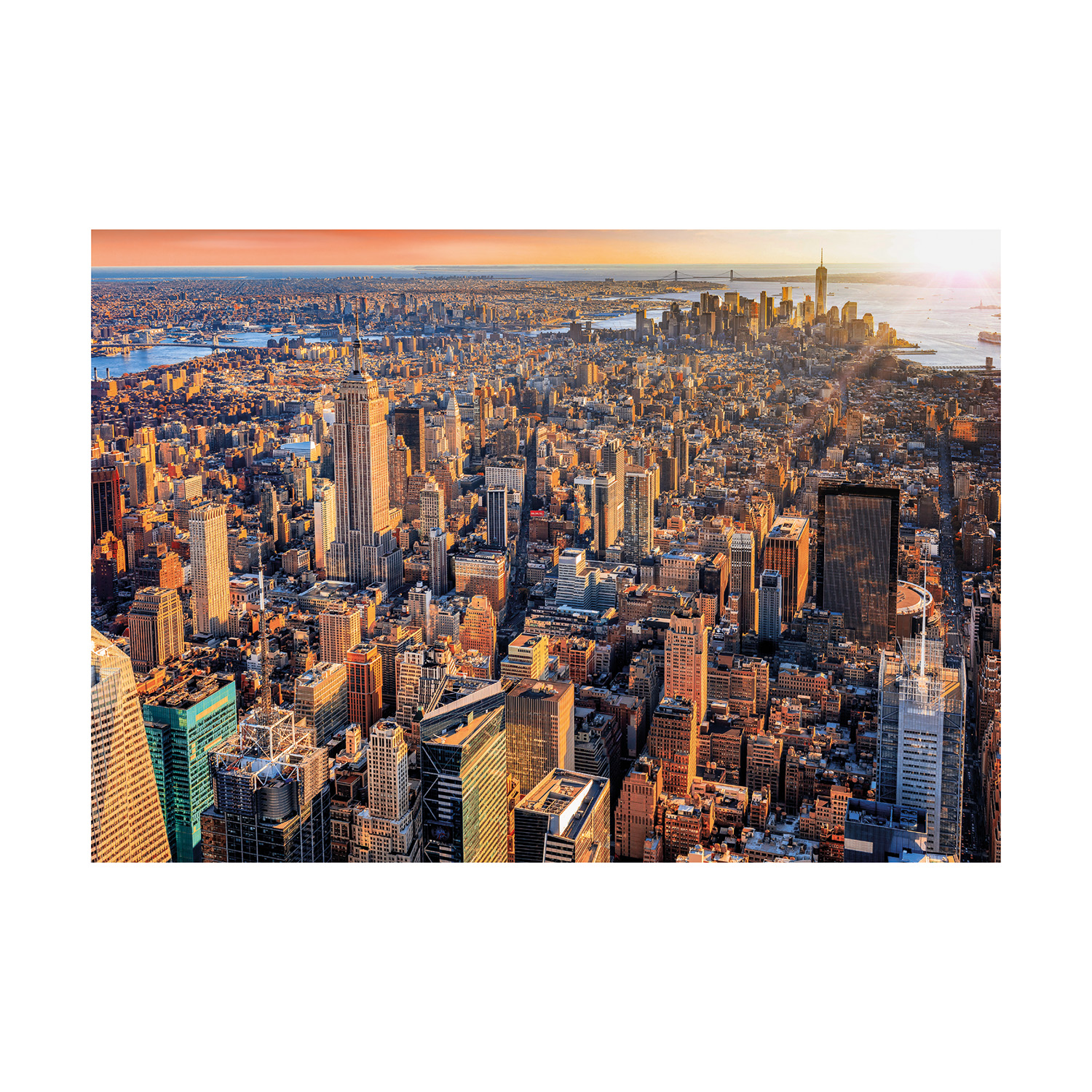 1220-39944-10-68d65aa6941cf1053a40241b_1758898835