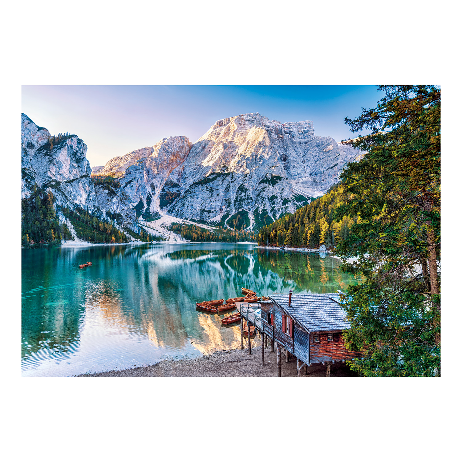 1220-39945-10-68d6651d941cf1053a402453_1758898835