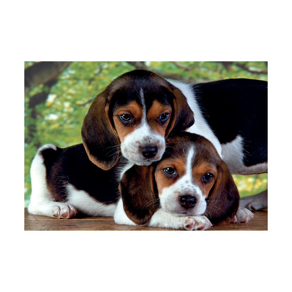 12203553610-666af84d551698edf03ba602