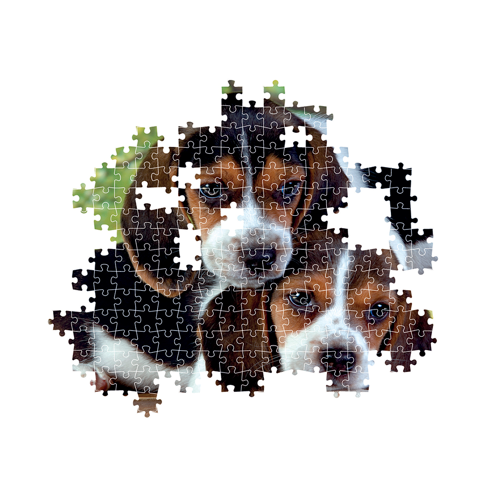 12203553620-666af850551698edf03ba603