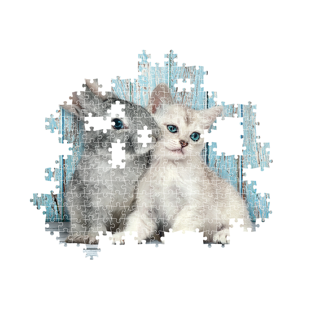 12203553920-666af91d551698edf03ba60a