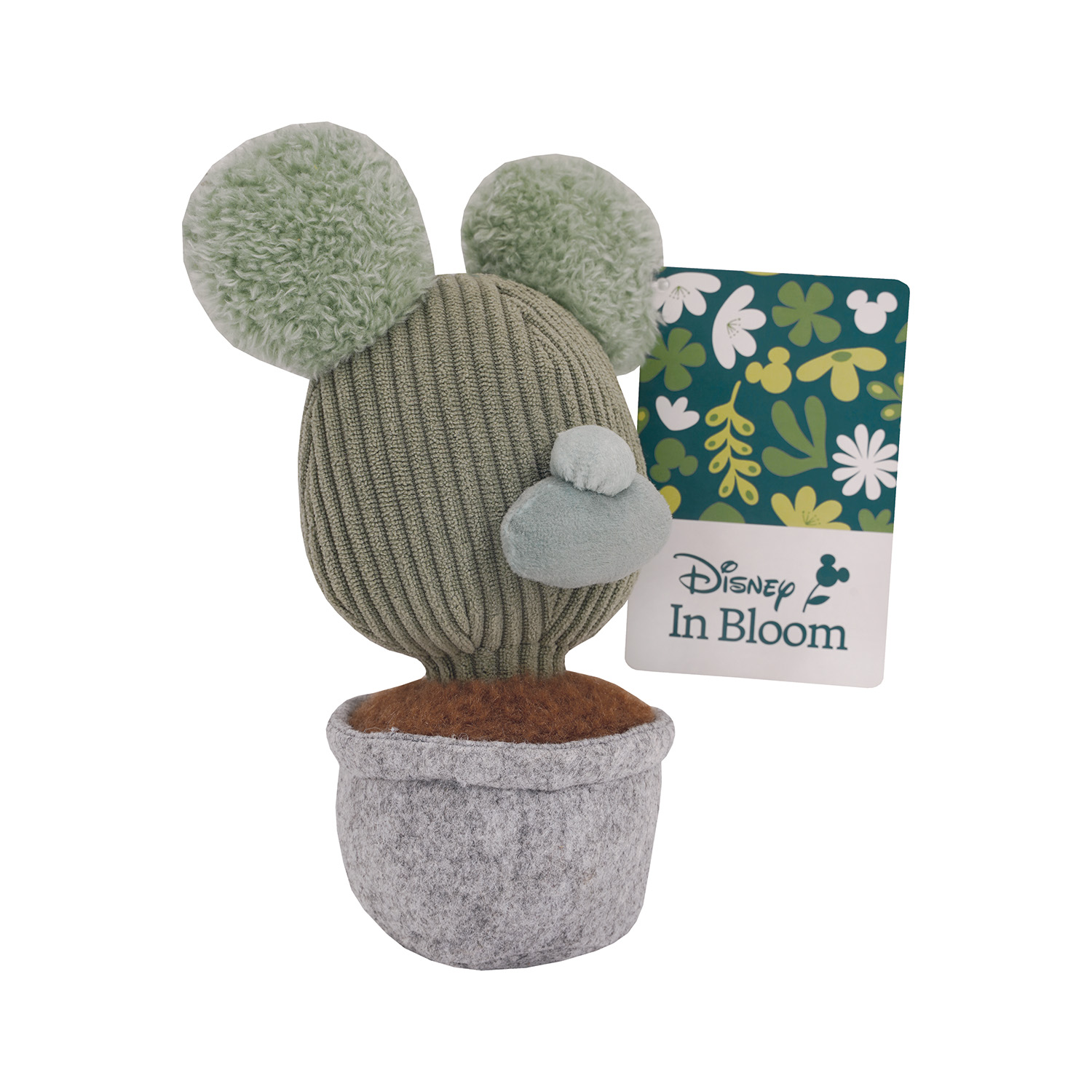 1607-01800-10-698af13a941cf1053a40b2c6_1771044817