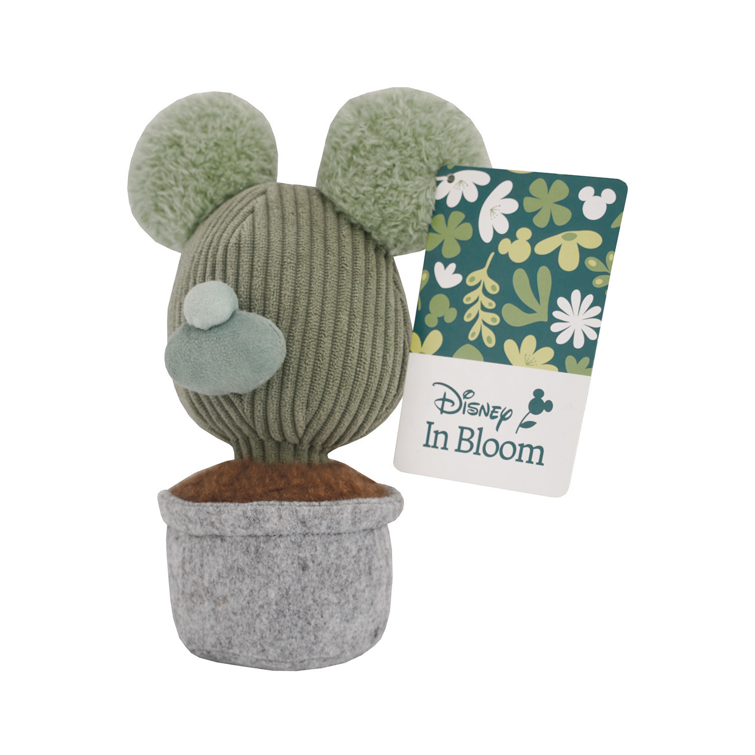 1607-01800-11-698af13c941cf1053a40b2c7_1771044817