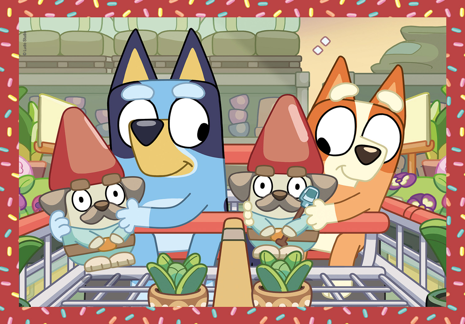 12002153011-6617d38a1012a18cecbe8099