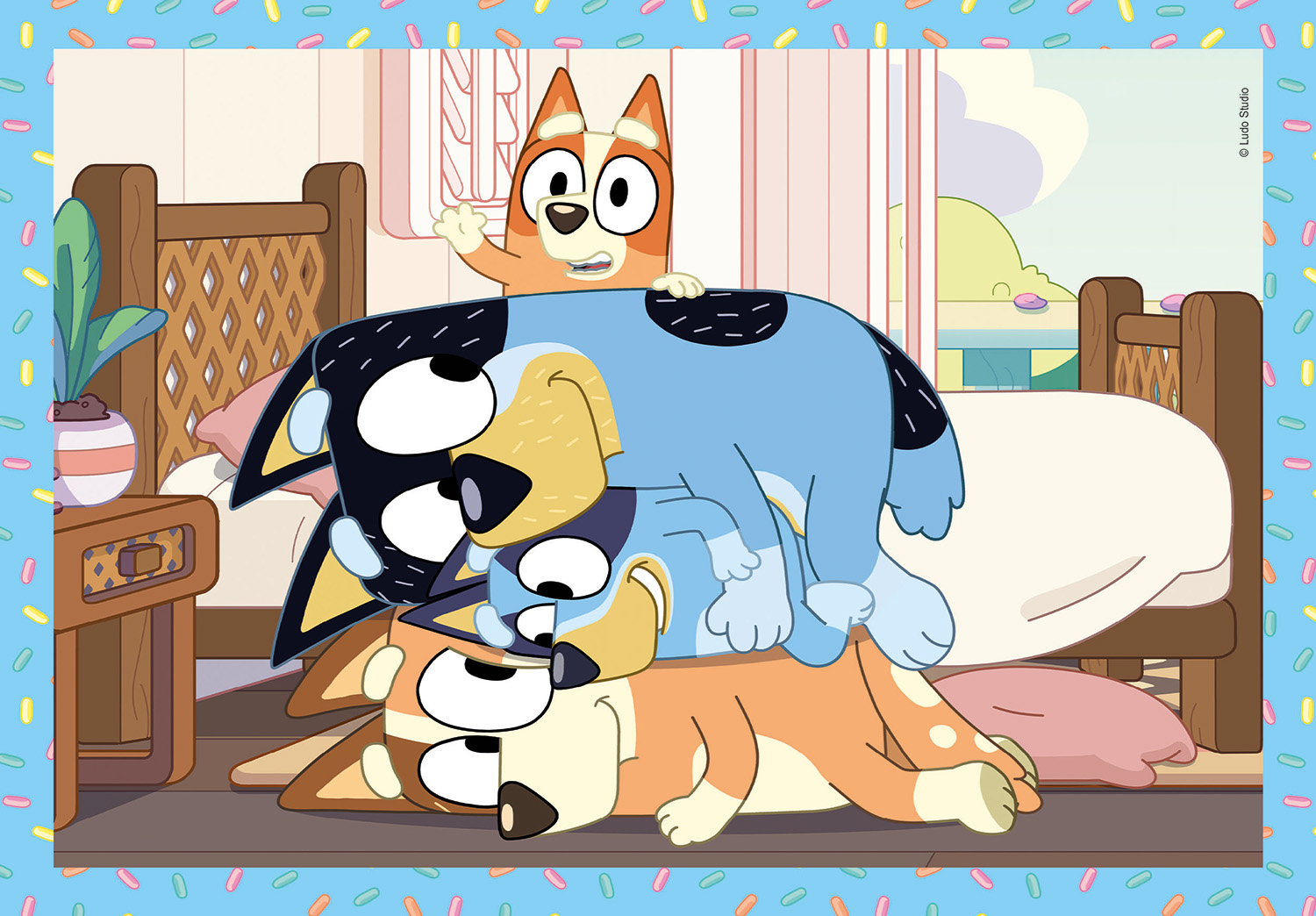 12002153012-6617d38d1012a18cecbe809a