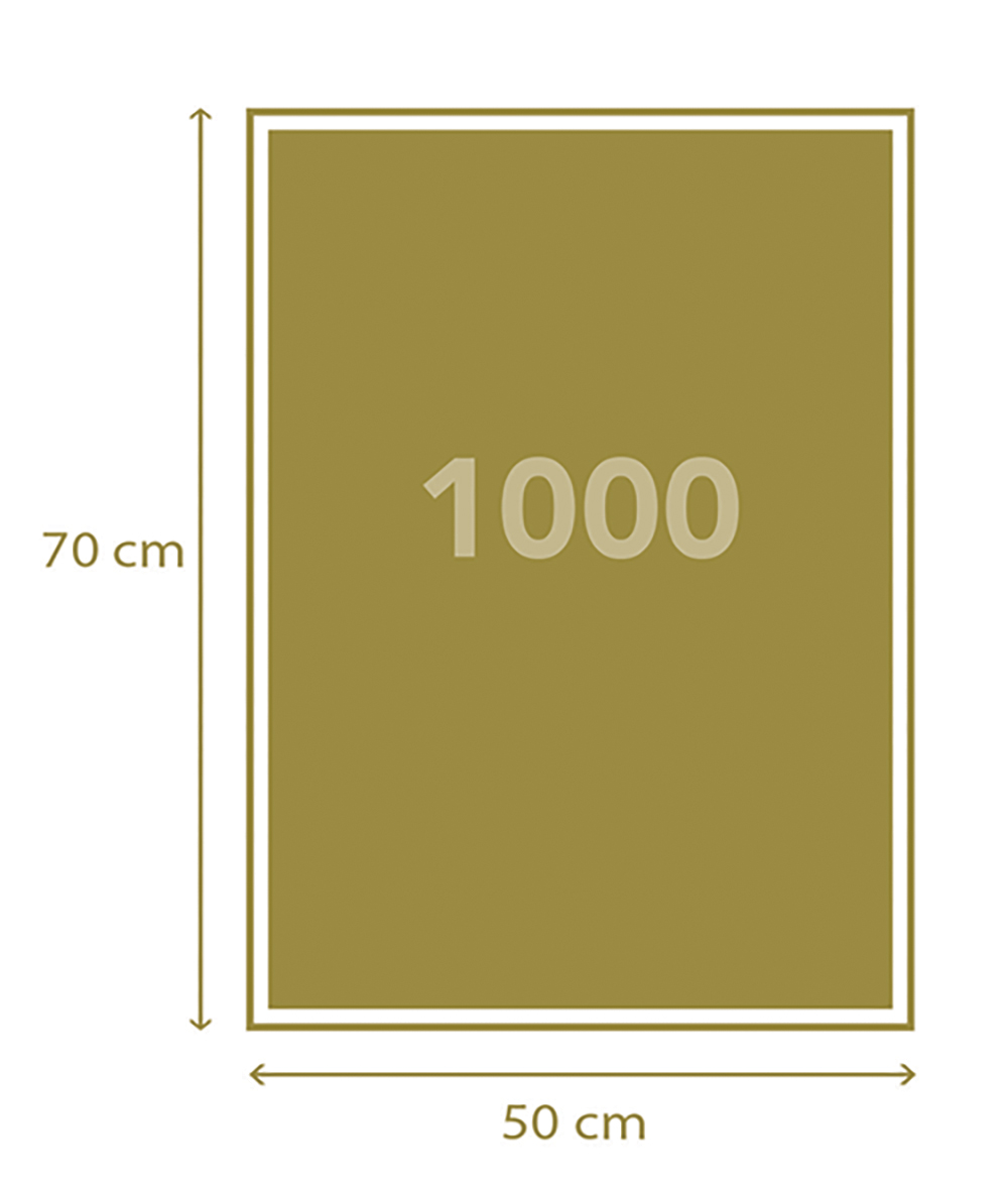 12603979022-666ac241551698edf03ba5c4